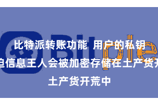 比特派转账功能  用户的私钥等紧迫信息王人会被加密存储在土产货开荒中