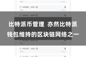 比特派币管理  亦然比特派钱包维持的区块链网络之一