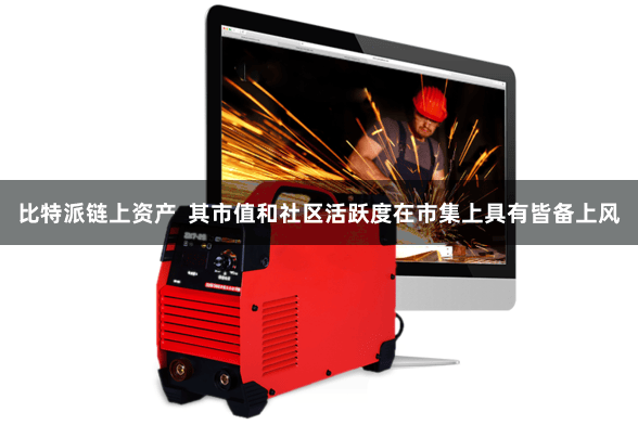 比特派链上资产  其市值和社区活跃度在市集上具有皆备上风