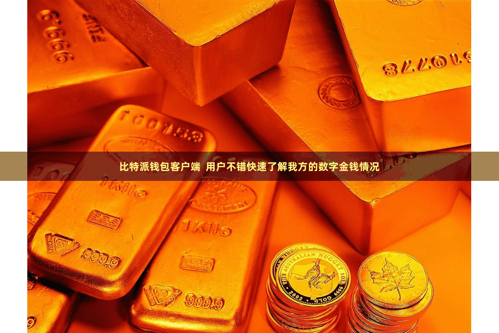 比特派钱包客户端  用户不错快速了解我方的数字金钱情况