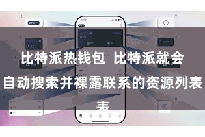 比特派热钱包  比特派就会自动搜索并裸露联系的资源列表