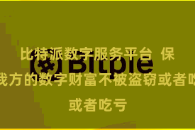 比特派数字服务平台  保险我方的数字财富不被盗窃或者吃亏