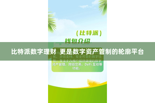 比特派数字理财  更是数字资产管制的轮廓平台